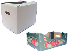 بريما 2000 لتصدير التفاح والكمثرى والخوخ والفواكه والخضروات 13