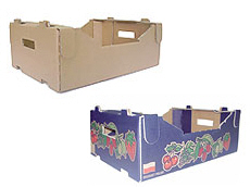 بريما 2000 لتصدير التفاح والكمثرى والخوخ والفواكه والخضروات 16